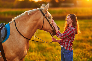 Young cute happy joyful satisfied smiling woman stroking beautiful blond palomino horse at meadow...
