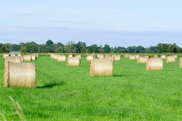 Hay bales, Somerset, England