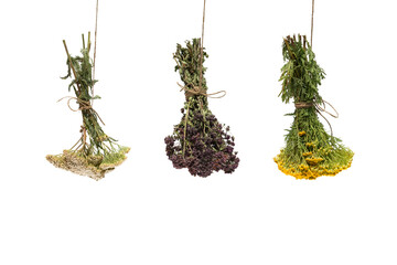 the dried flowers of yarrow, marjoram and tansyisolated on the white background, hang on the rope © irina