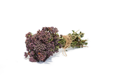 the dried flowers of yarrow, marjoram and tansyisolated on the white background, hang on the rope © irina