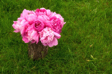 Bouquet of pink peonies in vase with fallen petals on the green grass