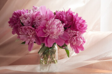 Bouquet of pink peonies in vase on a beige background