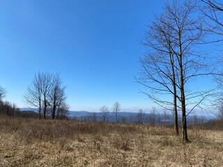 Berge, Landschaft, Wälder