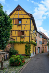 View of the Turckheim during the summer in Alsace