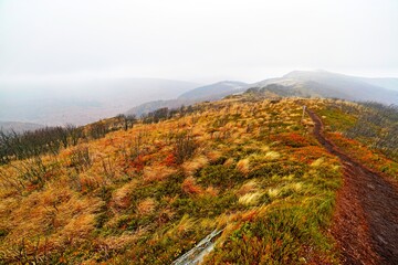 Bukowe Berdo, autumn weather in Bieszczady, Bieszczady mountains