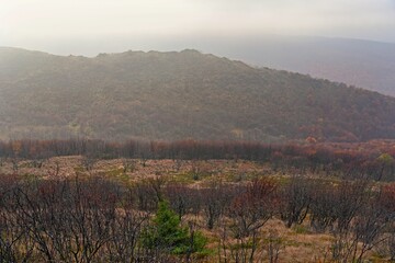 Fototapeta premium Bukowe Berdo, autumn weather in Bieszczady, Bieszczady mountains