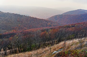 Bukowe Berdo, autumn weather in Bieszczady, Bieszczady mountains