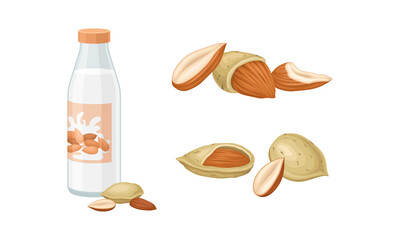 Fototapeta na wymiar Blanched and Unshelled Almond Nut as Edible Seed and Bottle of Milk Vector Set
