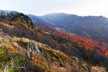 Bukowe Berdo, autumn weather in Bieszczady, Bieszczady mountains