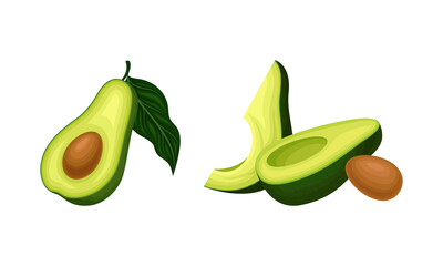 Avocado or Alligator Pear as Large Edible Berry with Seed Vector Set