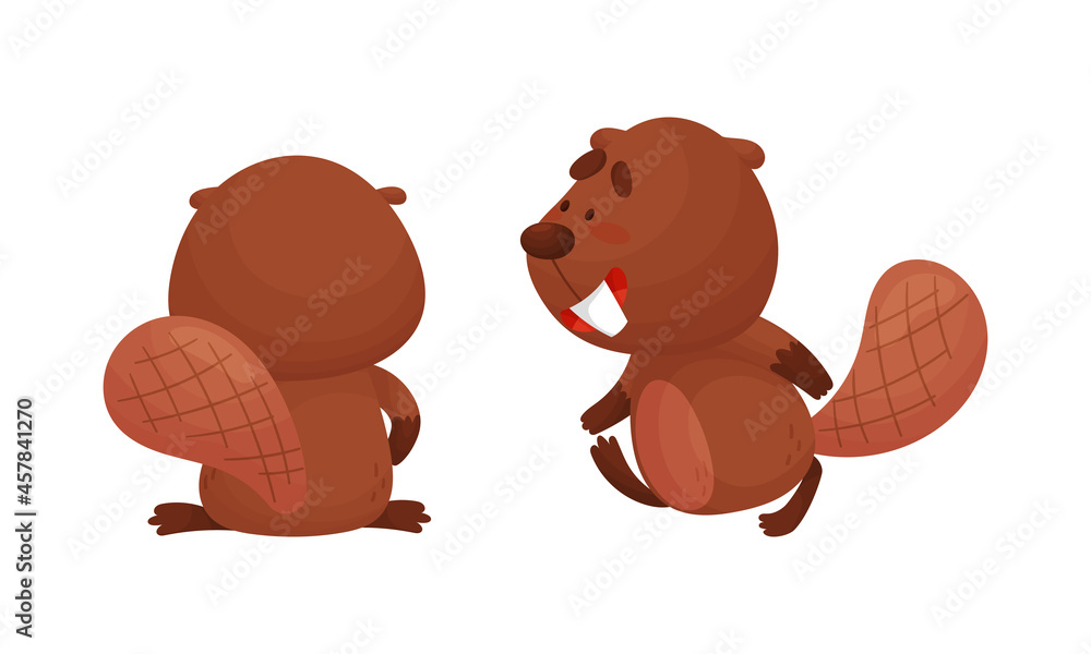 Poster funny beaver character with flat tail walking and standing back view vector set