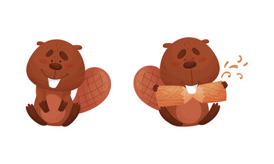 Funny Beaver Character with Flat Tail Sitting and Gnawing Log Vector Set