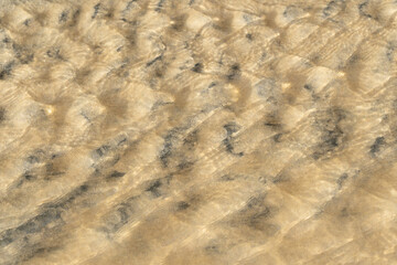 sand texture background