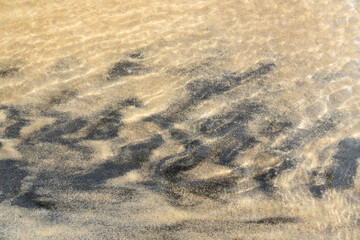 sand background