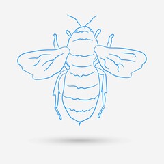 Bee doodle isolated object. Vector illustration.