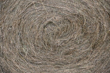 A partially view of a straw bale in Berlin-Germany.