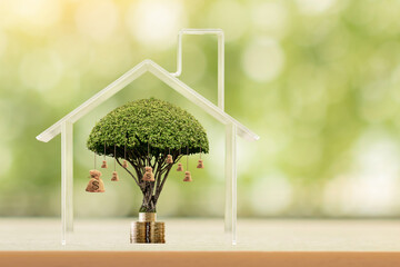 Tree with money bag of grow value put in the home model of crystal put on the wood on sunlight in...