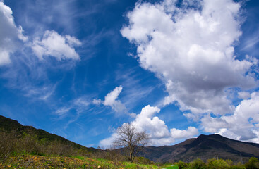 clouds in the mountains