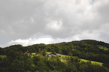 Fototapeta na wymiar Hidden alpine houses behind trees on a mountainside with a field and a cloudy sky