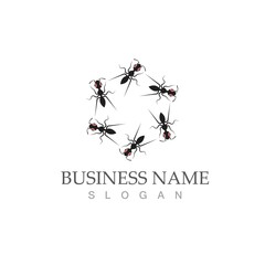 Ant vector illustration design