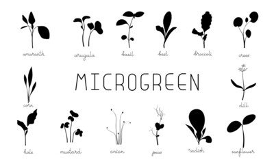 Microgreen sprouts black silhouette symbol collection. Set vector icons illustration. 