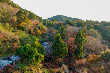 Buddhist temple, Ninnaji, in Kyoto, Japan