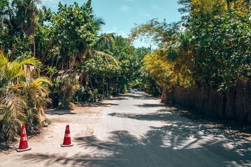 Traffic cones on roadside with vehicles in distant and trees on both side of road