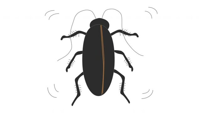 カサカサと歩き回るゴキブリのイメージ