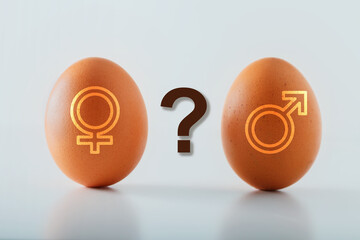Concept gender determine and gender identity - eggs with symbol man and woman