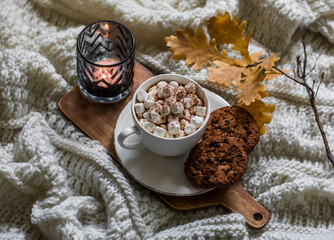 Fototapeta premium Pumpkin spices hot chocolate with marshmallows and cookies with chocolate drops on a knitted blanket. Autumn still life