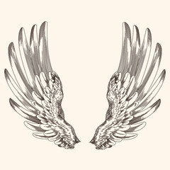 Two spread wings of an angel made of feathers isolated on a beige background.