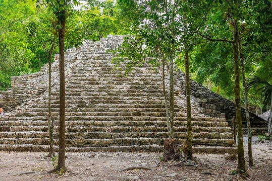 Coba Bilder – Durchsuchen 2,621 Archivfotos, Vektorgrafiken und Videos ...