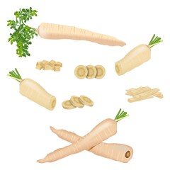 Set of parsnips for banners, flyers, posters, cards. Whole, half, and sliced parsnip. Diced parsnips. Parsnip with tops. Parsnip cut into strips. Parsnip root. Fresh vegetables. Vector illustration - obrazy, fototapety, plakaty