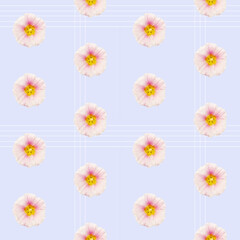 Seamless pattern of hollyhock flowers and lines on blue; pattern of repeating lines and pink and yellow flowers