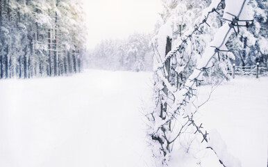 cold white landscape of snowy forest behind rows of barbed wire in winter, concept of seasonal changes in nature, protection of plants from wild animals