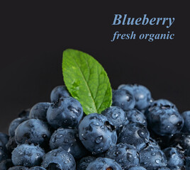 Blueberry antioxidant organic superfood in a bowl concept for healthy eating and nutrition