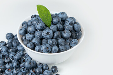 Blueberry antioxidant superfood isolated on white