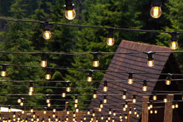 Decorative outdoor string lights hanging on tree in the garden at night time