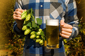 A man in a sticky shirt holds a glass of light beer and a branch of hops in his hands. Small home...
