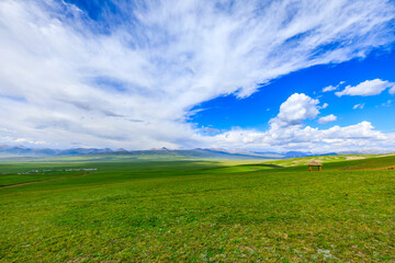 Fototapeta premium Green grassland natural scenery in Xinjiang,China.Wide grassland and blue sky with white clouds landscape.