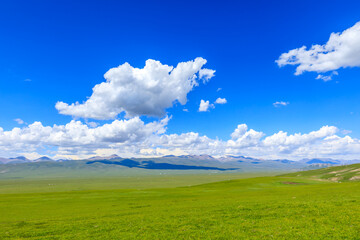Obraz premium Green grassland natural scenery in Xinjiang,China.Wide grassland and blue sky with white clouds landscape.