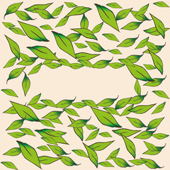 Leaves on isolated background 
