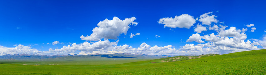 Green grassland natural scenery in Xinjiang,China.Wide grassland and blue sky with white clouds landscape.panoramic view.