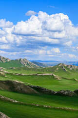 Fototapeta premium Green grassland and mountain natural landscape in Xinjiang,China.Beautiful prairie scenery.