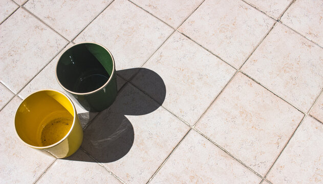 Indoor - Outdoor gardening concept - potting, repotting