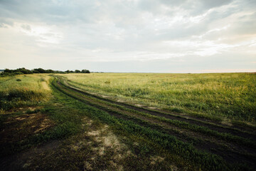 Dirt driven road in a green field under a blue sky with clouds