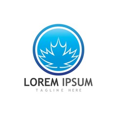 Maple leaf vector illustration