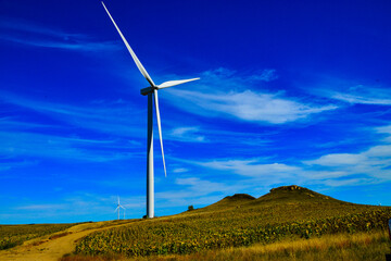 Wind turbines generating clean renewable energy with a field of ripe sunflowers in foreground.