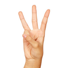 american sign language letter w