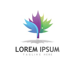 Maple leaf vector illustration